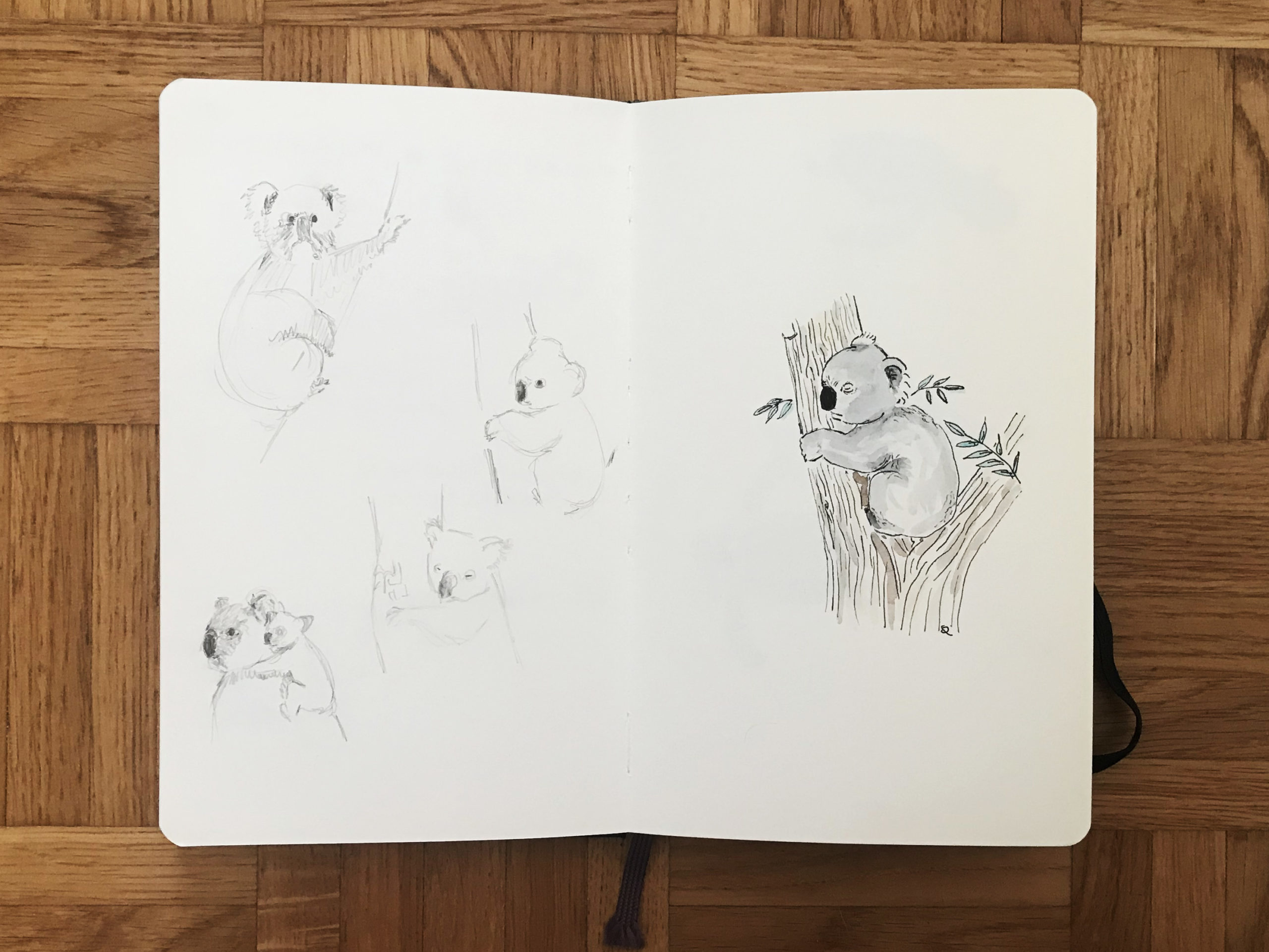 Tierwelten